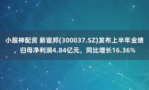 小股神配资 新宙邦(300037.SZ)发布上半年业绩，归母净利润4.84亿元，同比增长16.36%