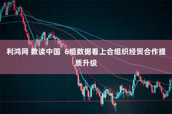 利鸿网 数读中国  6组数据看上合组织经贸合作提质升级